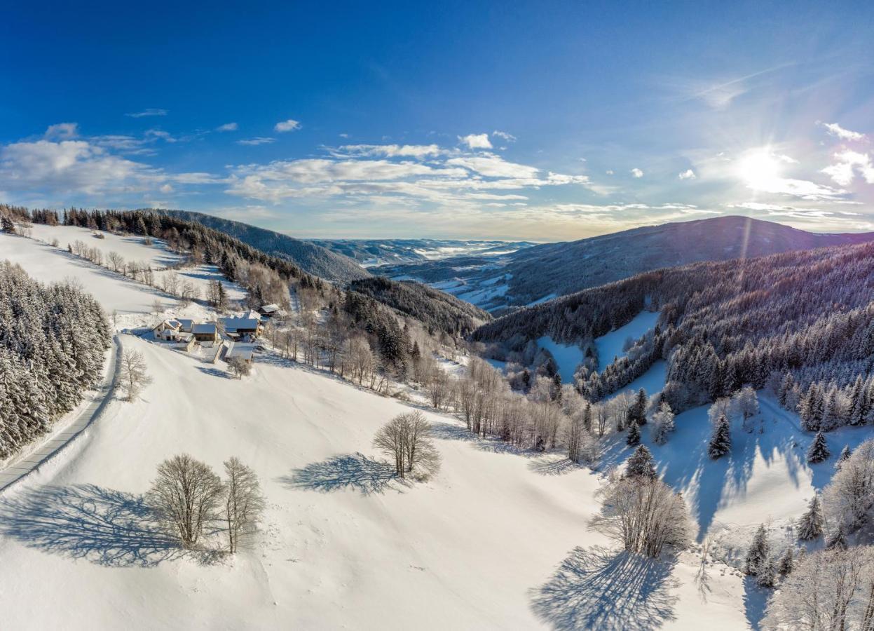 Almbauer Morgenbesser Trattenbach  Exterior foto